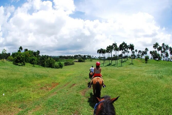 Half-Day Cultural Safari - Macao Beach for a quick coastal break