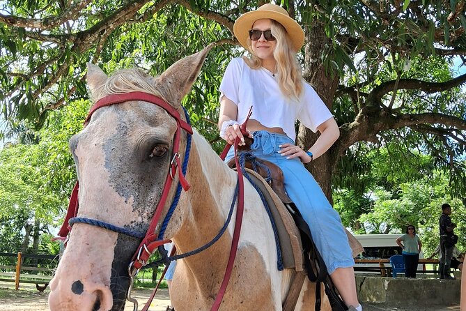 Half-day Cultural Tour in the City of Higüey - Inside a typical Dominican home