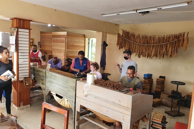 Half Day Dominican Safari for all Family - Drinks Are Included, But Plan for Food