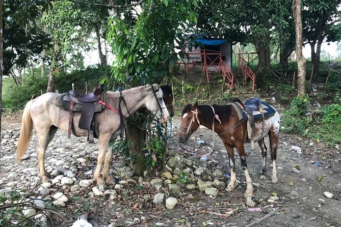 Half-Day Mountain Ride in Puerto Plata - Riding above Puerto Plata instead of along the beach