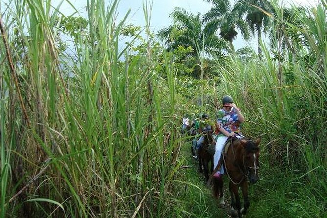 Half-Day Mountain Ride in Puerto Plata - A quiet ride with a personal feel