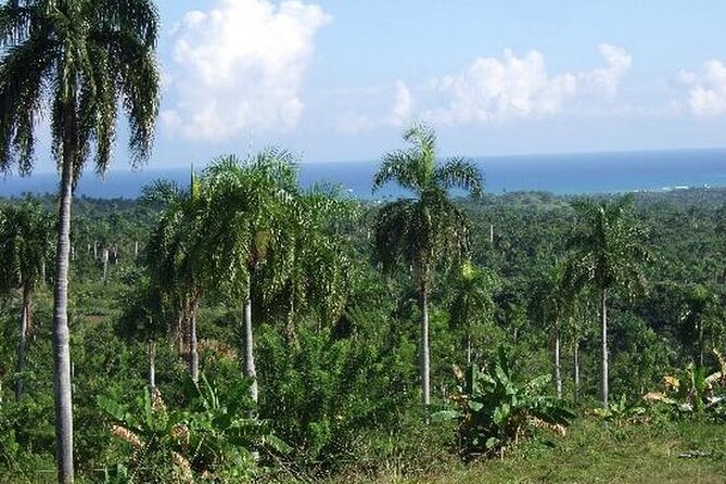 Half-Day Mountain Ride in Puerto Plata - The countryside break and the small shop