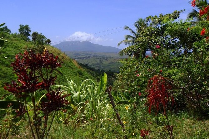 Half-Day Mountain Ride in Puerto Plata - Who will enjoy this ride most