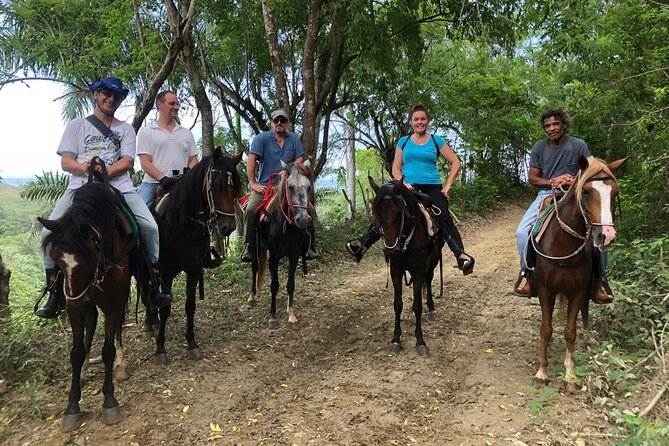 Half-Day Mountain Ride in Puerto Plata - Choosing a horse and getting ready to ride