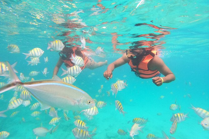 Half-Day Private Party Boat and Snorkeling in Punta Cana - Boat features need a written check
