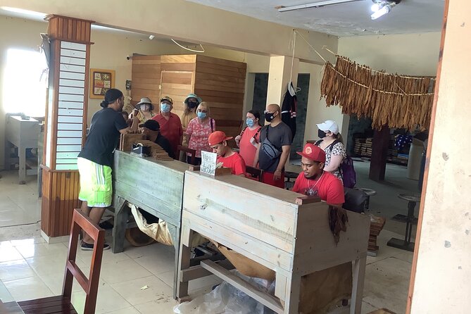 Half Day Private Tour in Dominican Republic with Local Guide - The final souvenir stop and what is not included