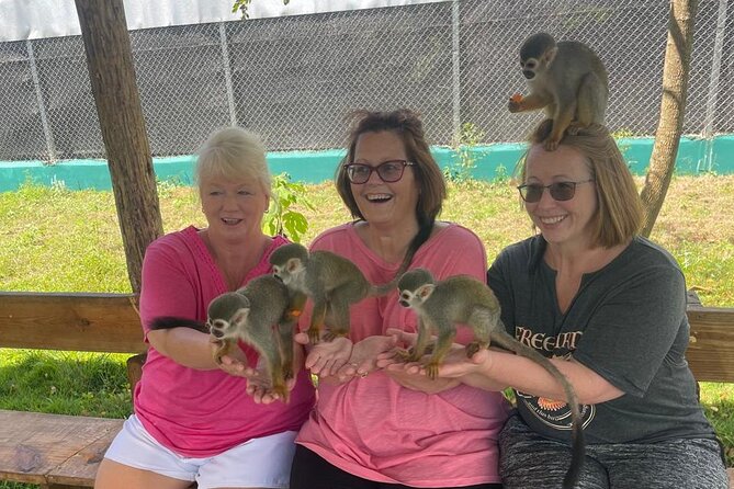 Half Day Puerto Plata City Tour and Monkey Home Visit - Key points to know before booking