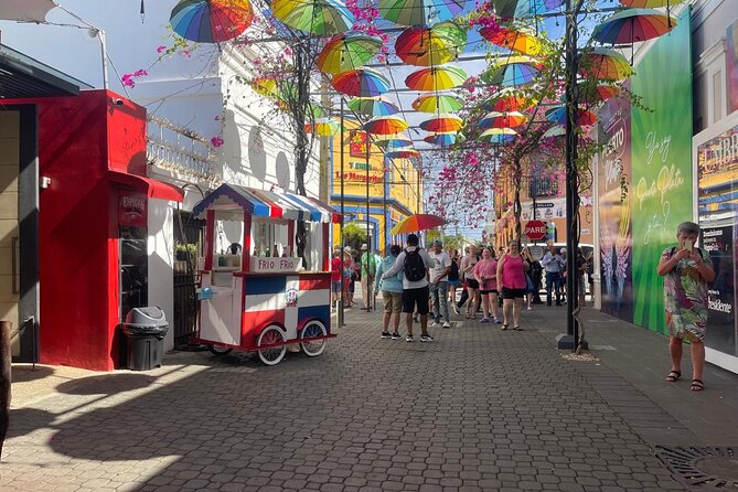 Half Day Puerto Plata City Tour and Monkey Home Visit - Umbrella Street: fifteen colorful minutes