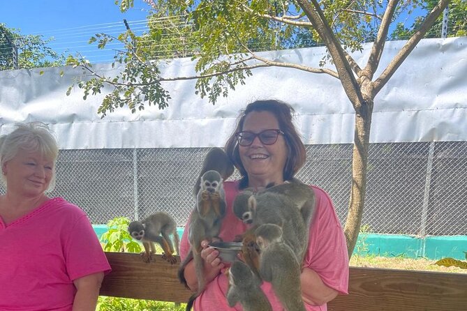 Half Day Puerto Plata City Tour and Monkey Home Visit - Doña Blanca Walk, a tiny pink lane