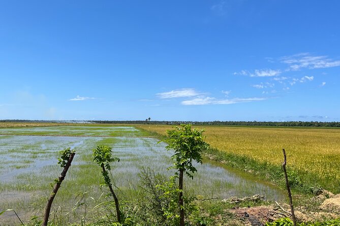 Half Day Safari and ATV or horses from Punta Cana - Why the guides matter here