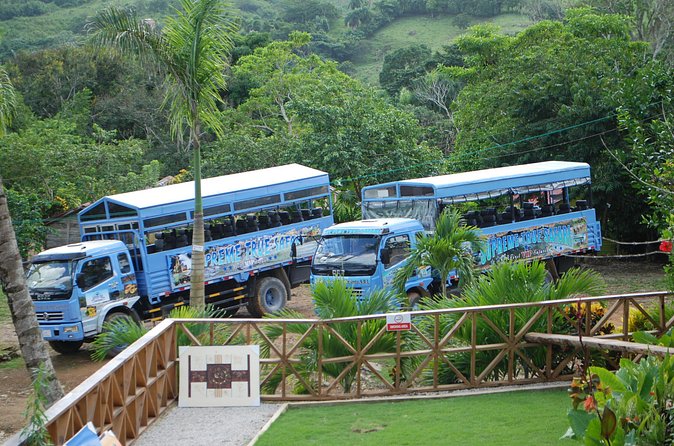 Half-Day Safari Tour from Punta Cana - Higuey and the Basilica de Higuey