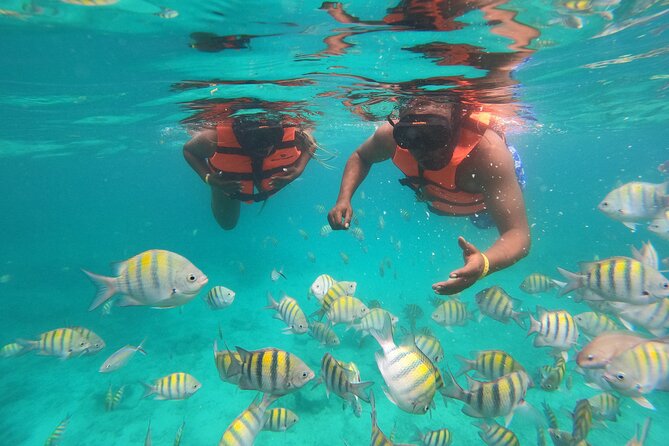 Half-Day Snorkeling Cruise and Natural Pool with Open Bar - Key points to know before you book