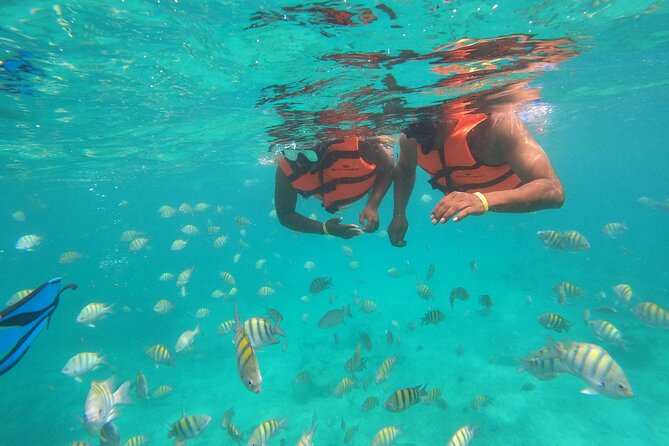 Half-Day Snorkeling Cruise and Natural Pool with Open Bar - The open bar, music, and onboard social life