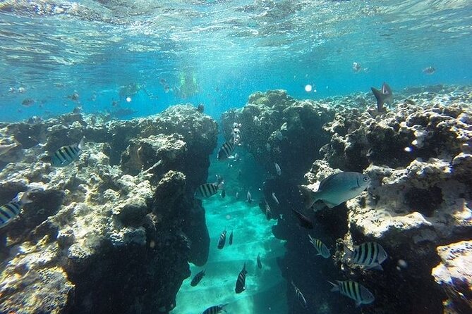 Half Day Sosua Sunset Cruise with Snorkeling - Sunset views and the final part of the cruise