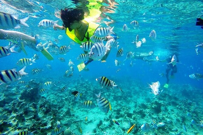 Half Day Sosua Sunset Cruise with Snorkeling - Six practical things to bring and remember