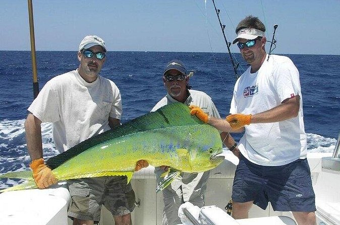 Half Day Sport Fishing Excursion Departing from Sosua - Service, guides, and what the praise tells me