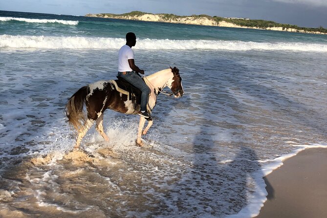 Half-Day Tour 2-in-1, Redonda Mountain & Horseback Riding Tour in Macao Beach - Who will get the most from this outing