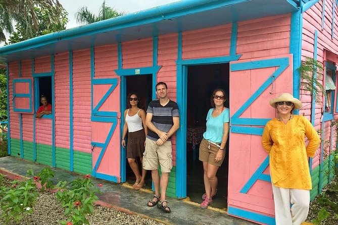 Half-Day Tour: Dominican Discovery Of a Culture - A lived-in Dominican home and farm products