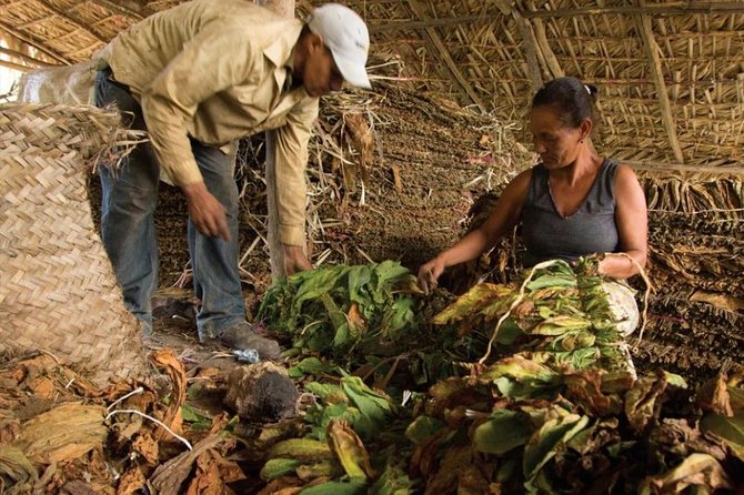 Higuey City Tour - A Cultural Experience From Punta Cana - Macao Beach closes the outing
