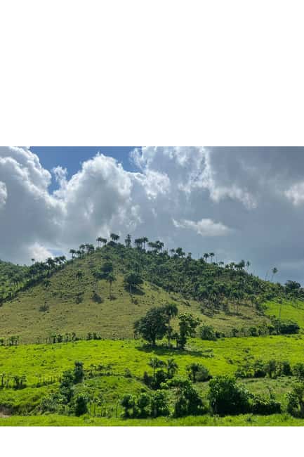 Higuey discovery, coffee and cocoa tasting from punta cana - Rolling a cigar in Higüey