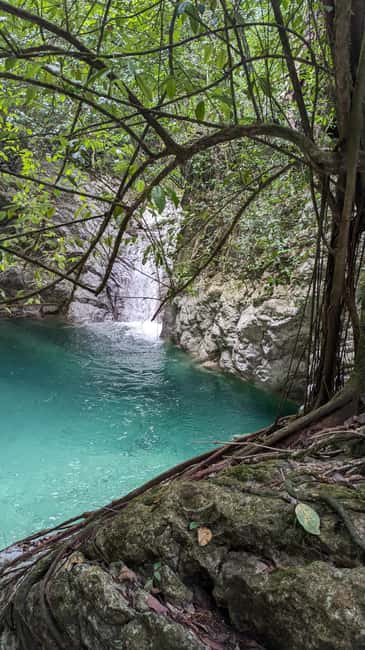 Hiking Tabernacle Thundering Waterfall - Who should book this creek hike?
