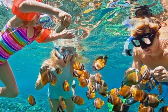 Hip hop party boat cruise & Snorkel: Wonderful time in Punta Cana - What the open bar includes
