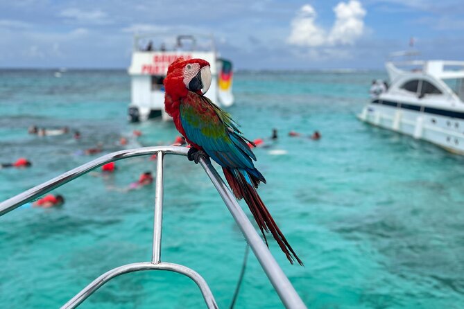 Hip Hop Party Boat with Snorkeling Punta Cana - The free nightclub entry and extra costs