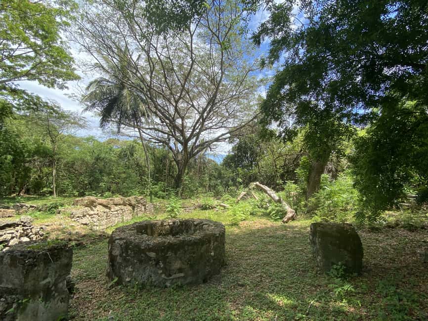 History of Slavery Guided Tour - Boca de Nigua and the sugar-factory ruins