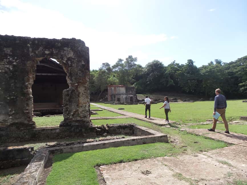 History of Slavery Guided Tour - What the guide and driver can add