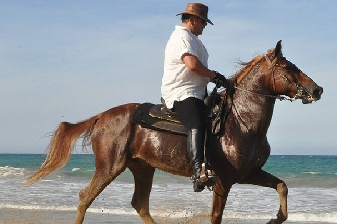 Horse Riding Experience through El Limon Beach - The $150 Price and What You Receive