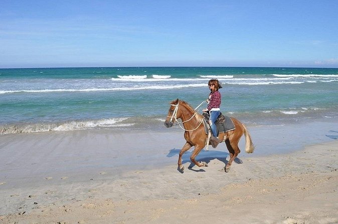 Horse Riding Experience through El Limon Beach - Who Will Enjoy This Ride Most