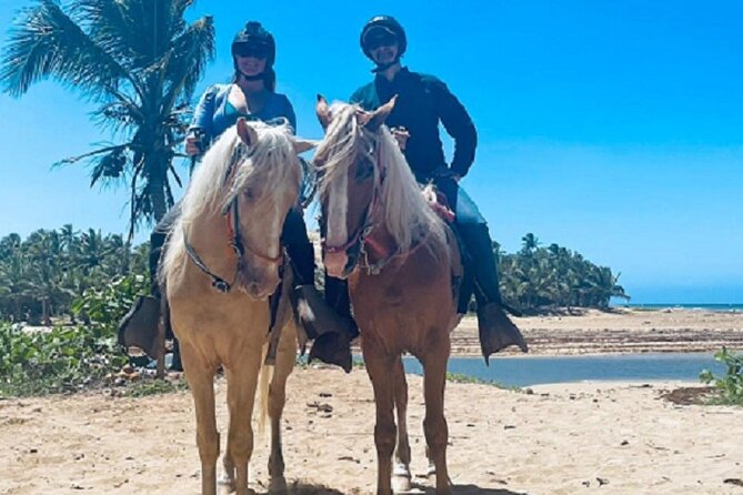 Horse Riding Experience through El Limon Beach - Cattle Farms and Subtropical Wetlands