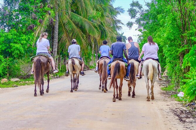HORSEBACK - RIDE Through Punta Cana - Reaching the coast on horseback