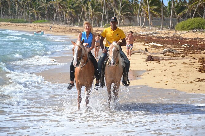 Horseback Riding Adventure Punta Cana - From your hotel to Rancho Victoria Caribeño