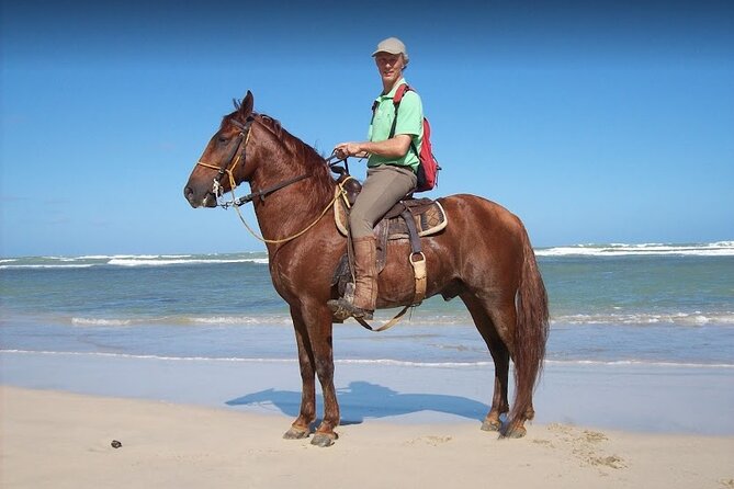 Horseback Riding Adventure Punta Cana - Horses, guides, and beginner comfort
