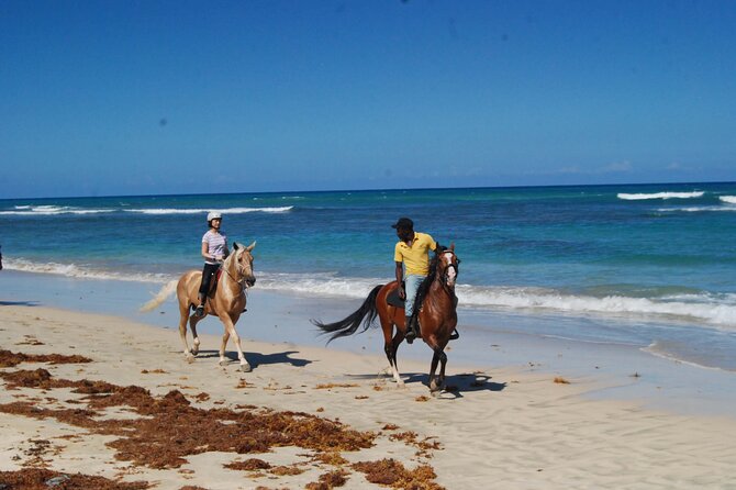 Horseback Riding Adventure Punta Cana - Is $40 a fair price?