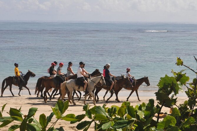 Horseback Riding Adventure Punta Cana - Who should book this Punta Cana ride?