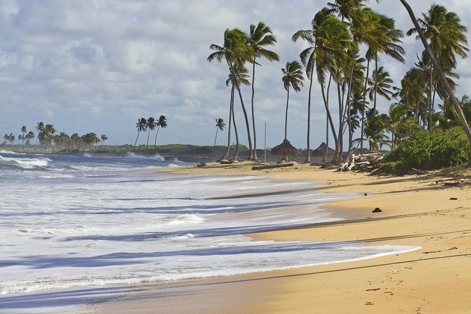 Horseback Riding Adventure Punta Cana - Should you book it?