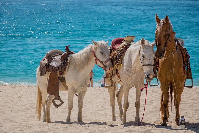Horseback Riding Adventure to Macao Alto Beaches in Punta Cana - Through villages and farmland to the coast