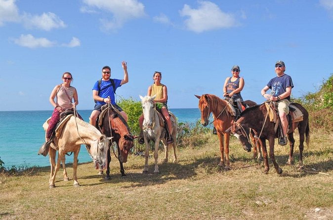 Horseback riding along Macao beach from Punta Cana - Pickup, timing, and avoiding a bad start