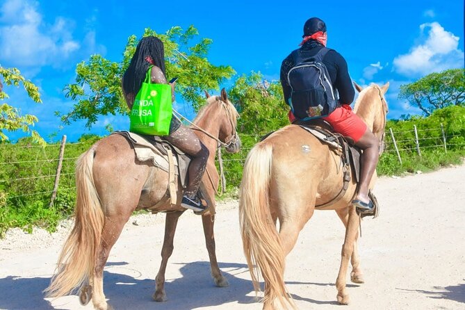 Horseback riding along Macao beach from Punta Cana - Is the $65 price fair?