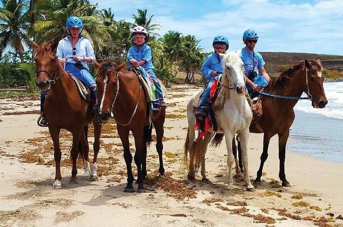 Horseback Riding along the Beach - The group size and the feel of the ride