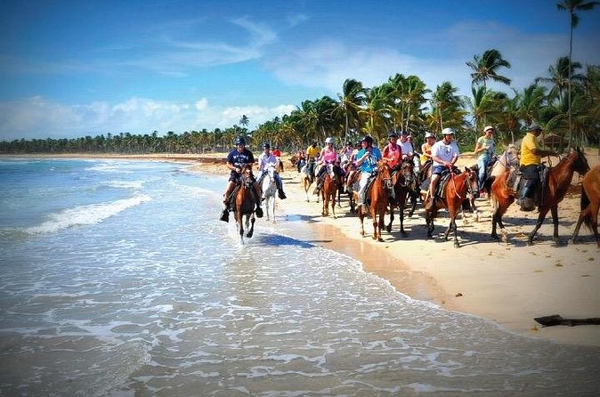 Horseback Riding along the Beach - Who should book this experience?