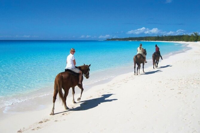 Horseback Riding along the Beach - What the Macao Beach route gives you