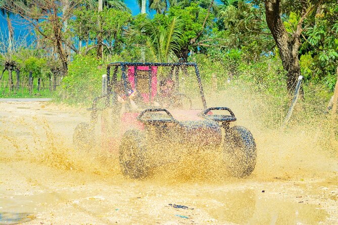 Horseback Riding and Buggy and Macau Cave and Beach Tour - Macao Beach and a Short Swim