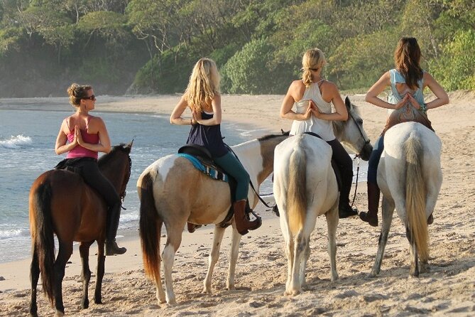 Horseback Riding at Macao Beach - Price, timing, and what you get for $69.99