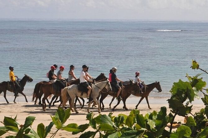 Horseback Riding at Macao Beach - Who will enjoy this tour most