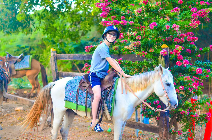 Horseback Riding at Macao Beach and River with Transfers - Is $62 a Fair Price?