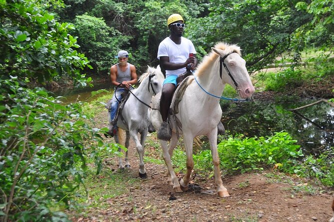 Horseback Riding at Macao Beach - From a traditional village into the countryside
