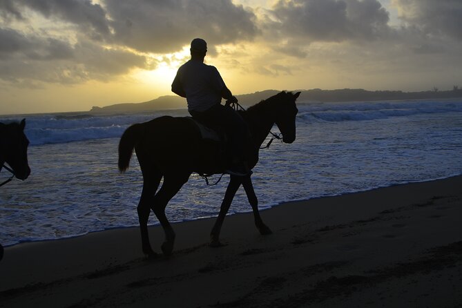 Horseback Riding at Sunrise on the Beach of Punta Cana - Pickup from Punta Cana and group size